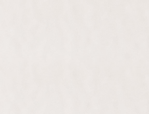 Allgemeine Geschäftsbedingungen